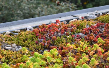 the cost of Balephuil green roof installation