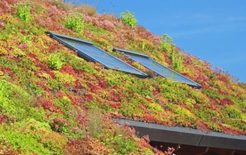 Balephuil living roof systems